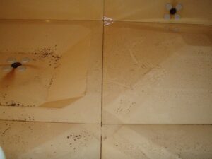 昭島市内マンション　貯水槽清掃