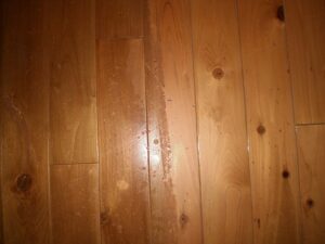 東京都　あきる野市　温浴施設　フローリング剥離清掃