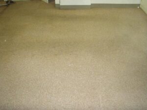 埼玉県　オフィス事務室　床面カーペット清掃