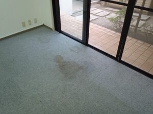 東京都　池袋　事務所　カーペット洗浄　トイレ洗浄