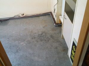 東京都　新宿区　カーペット洗浄