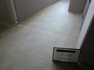 杉並区　マンション共用部分床面洗浄