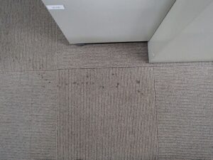 東京都新宿区ビルテナント部分タイルカーペット清掃（洗浄）