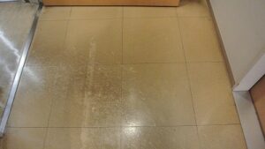 東京都新宿区　オフィスビル　共用部分剥離清掃