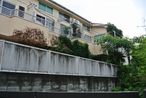 東京都渋谷区集合住宅ツタ除去作業