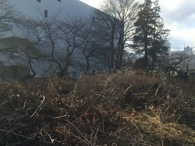 東京都立川市　木々片伐採作業