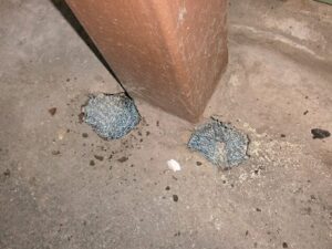 東京都内雑居ビル　ねずみ駆除作業