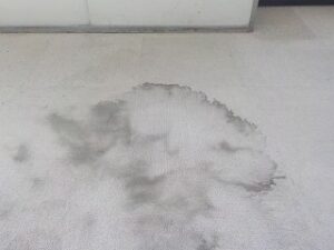東京都内オフィスカーペット清掃