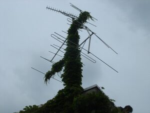 豊島区　オフィスビル　外壁除草作業　