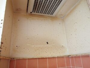 ハウスクリーニング　換気扇編