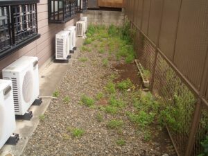 アパート巡回清掃（簡易的除草）