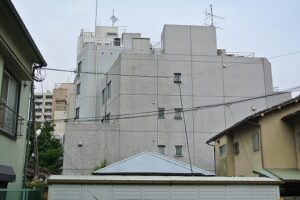 都内　事務所ビル　壁面ツタ除去（除草）作業