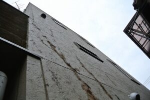 東京都目黒区　戸建てつた除去作業～ＡＦＴＥＲ編～