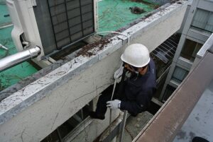東京都世田谷区オフィスビル外壁のツタ取り作業　作業中