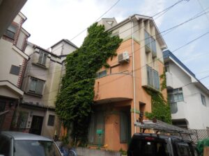 江ノ島戸建て蔦除去作業